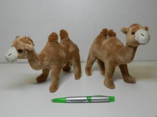 Obrázek z Velbloud dvouhrbý plyšový 20cm(6ks bal) 